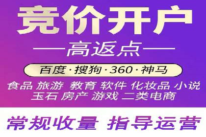 百度SEO推广案例：实战解析与效果展示